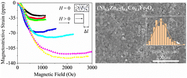 Graphical abstract: Highly sensitive magnetostrictive NiZnCo ferrites for low magnetic field sensor applications