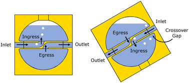 Graphical abstract: Orientation-independent bubble trap with internal partition for robust operation of microfluidic systems