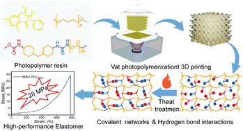 Graphical abstract: Multiple H-bonds induced mechanically robust vat photopolymerization 3D printing poly(urethane–urea) elastomers