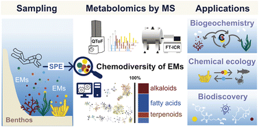 Graphical abstract: Describing the complex chemistry of benthic seawater: from exometabolite sampling strategies to MS-based metabolomics