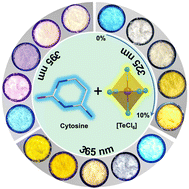 Graphical abstract: Excitation-dependent multicolor luminescence with tunable afterglow from Te4+-doped (CytH)2SnCl6 for dynamic anticounterfeiting