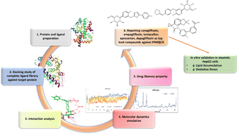 Graphical abstract: Unraveling PPARβ/δ nuclear receptor agonists via a drug-repurposing approach: HTVS-based ligand identification, molecular dynamics, pharmacokinetics, and in vitro anti-steatotic validation