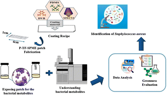 Graphical abstract: Fabrication of disposable microextraction analytical tool for in vitro detection of Staphylococcus bacterial pathogen using volatile metabolites emission