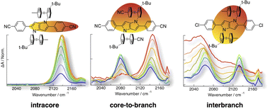 Graphical abstract: Structural and solvent modulation of symmetry-breaking charge-transfer pathways in molecular triads