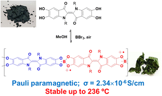 Graphical abstract: A recyclable dynamic semiconducting polymer consisting of Pauli-paramagnetic diradicaloids promoted and stabilized by catechol–boron coordination