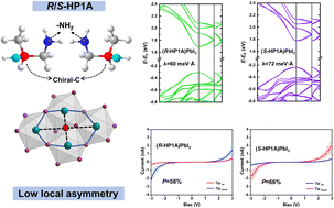 Graphical abstract: Chiral perovskites with a unique 1D chain structure: impact of chiral ligand geometry on local inversion asymmetry and chiral-induced spin selectivity