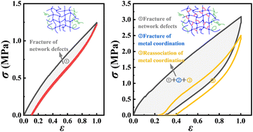 Graphical abstract: Strain hysteresis and Mullins effect of rubber vulcanizates with a reversible sacrificial network