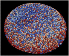 Graphical abstract: Morphogenesis of confined biofilms: how mechanical interactions determine cellular patterning and global geometry
