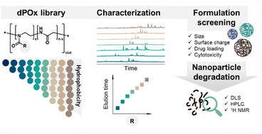 Graphical abstract: Unveiling the power of liquid chromatography in examining a library of degradable poly(2-oxazoline)s in nanomedicine applications
