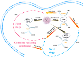 Graphical abstract: Delivery of Cu(ii) and Mn(ii) by polydopamine-modified nanoparticles for combined photothermal and chemotherapy