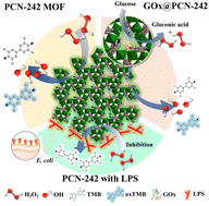 Graphical abstract: Dual-functional PCN-242 (Fe2Co) MOF for sensitive bacterial endotoxin detection