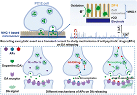 Graphical abstract: Revealing the different effects induced by antipsychotic drugs using an electrochemical microsensor to measure exocytosis in living cells