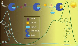 Graphical abstract: Photoswitchable inhibitors: temporally regulated inhibition of the IDO1 enzyme using photoactive merocyanine derivatives
