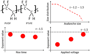 Graphical abstract: Barkhausen noise in the organic ferroelectric copolymer P(VDF:TrFE)