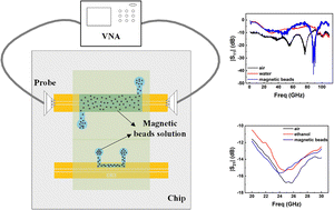 Graphical abstract: Microwave microfluidic sensors for analyzing magnetic bead-based bioliquids: from theory to experimental validation