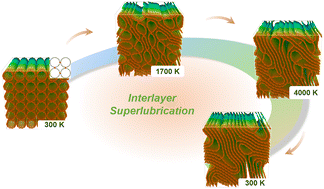 Graphical abstract: Inter-layer superlubricity in a carbon nanotube array induced by high-temperature annealing
