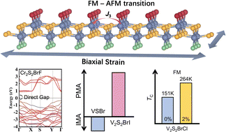 Graphical abstract: Tunable magnetic anisotropy and phase transitions in 2D Janus transition-metal chalcogenide halides