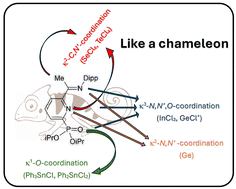 Graphical abstract: Conformational and electronic variability of N,N’,O-ligand documented on its coordination to main group halides