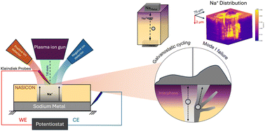 Graphical abstract: Probing dynamic degradation and mass transport in solid-state sodium-ion batteries using operando simultaneous dual-polarity SIMS