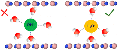 Graphical abstract: 2D nanoconfinement distorts the solvation structure of hydroxide but not of hydronium