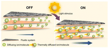 Graphical abstract: Photo-modulated fluidic channels for precise delivery of ions and molecules