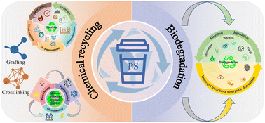 Graphical abstract: Recent advancements in the chemical recycling and biodegradation of post-consumer polystyrene waste