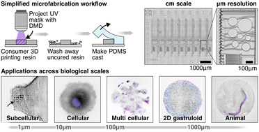 Graphical abstract: Teach your microscope how to print: low-cost and rapid-iteration microfabrication for biology