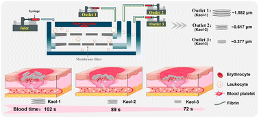 Graphical abstract: Size-selective sorting of kaolinite micro/nanoflakes via microfluidic filtration for wound hemostasis