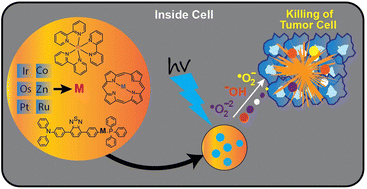 Graphical abstract: Recent advances in metal complexes for the photodynamic therapy of cancer