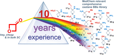 Graphical abstract: Oxetane as a part of modern medicinal chemistry toolbox: the advanced synthesis of 3,3-disubstituted building blocks