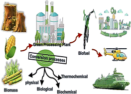 Graphical abstract: Biofuel production from waste residuals: comprehensive insights into biomass conversion technologies and engineered biochar applications