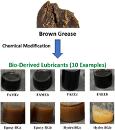 Graphical abstract: Sustainable base oils from non-edible fats: performance of esterified, epoxidized, and hydroxylated brown grease