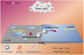 Graphical abstract: Mechanistic insights into spontaneous redispersion of ZnO onto TiO2 in water-containing environments