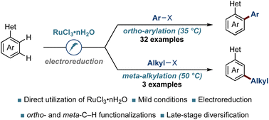 Graphical abstract: Electroreductive room-temperature C–H activations with RuCl3·nH2O precatalyst via cathodic ruthenium(iii/ii) manifold