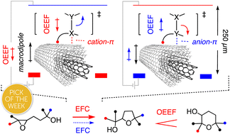 Graphical abstract: Response of reaction mechanisms to electric-field catalysis on carbon nanotubes in microfluidic reactors