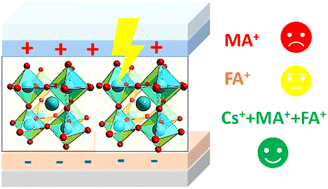 Graphical abstract: Synergistic stabilization of lead halide perovskites by univalent cations under electric field stress