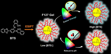 Graphical abstract: A single molecule stimuli-robust fluorescent hydrogel based on excited state intramolecular proton transfer