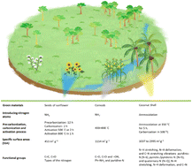 Graphical abstract: Waste-derived green N-doped materials: mechanistic insights, synthesis, and comprehensive evaluation