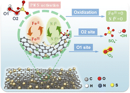 Graphical abstract: NiFe alloy nanocrystals anchored on nitrogen-doped carbon: interface engineering for enhanced peroxymonosulfate activation via non-radical dominated pathways