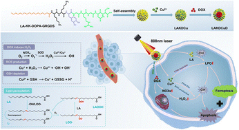 Graphical abstract: Self-assembling peptide nanomaterials co-engineered with linoleic acid and catechol motifs for synergistic ferroptosis–photothermal therapy–chemotherapy