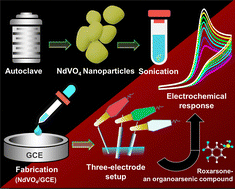 Graphical abstract: Rapid electrochemical sensing of arsenic-based feed additive using a neodymium orthovanadate-modified electrode: a tool for minimizing arsenic exposure-linked kidney and cardiovascular health risks