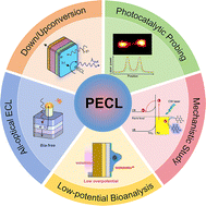 Graphical abstract: Photoinduced electrochemiluminescence: mechanistic insights and emerging applications