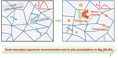 Graphical abstract: Strain-mediated grain-boundary reconstruction unlocks high near-room-temperature thermoelectric performance in Mg3Sb2-based alloys
