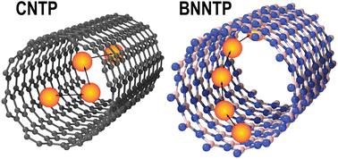 Graphical abstract: Rare earth ion transport and selectivity in large diameter nanotube porins