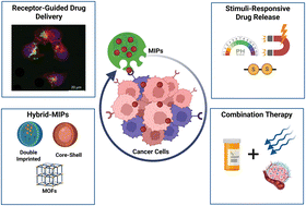 Graphical abstract: Engineering molecularly imprinted polymers for receptor-specific cancer therapeutics