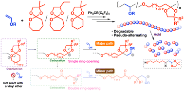 Graphical abstract: Spiroorthoesters as promising comonomers for degradable polymer synthesis by cationic copolymerization with vinyl ethers