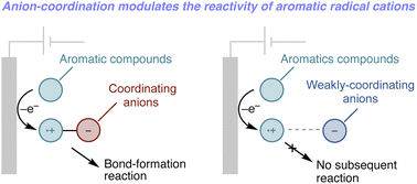 Graphical abstract: Electrolyte-anion-controlled reactivity of aromatic radical cations