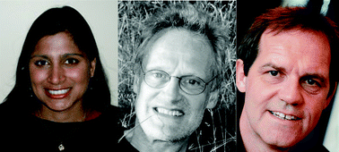 Graphical abstract: Energy conversion in microsystems: is there a role for micro/nanofluidics?