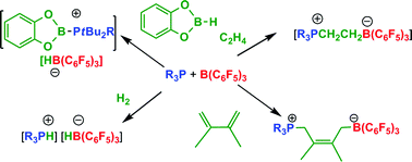 Graphical abstract: Frustrated Lewis pairs: a new strategy to small molecule activation and hydrogenation catalysis