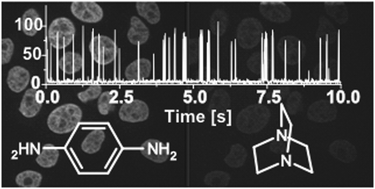 Graphical abstract: Mechanisms and advancement of antifading agents for fluorescence microscopy and single-molecule spectroscopy